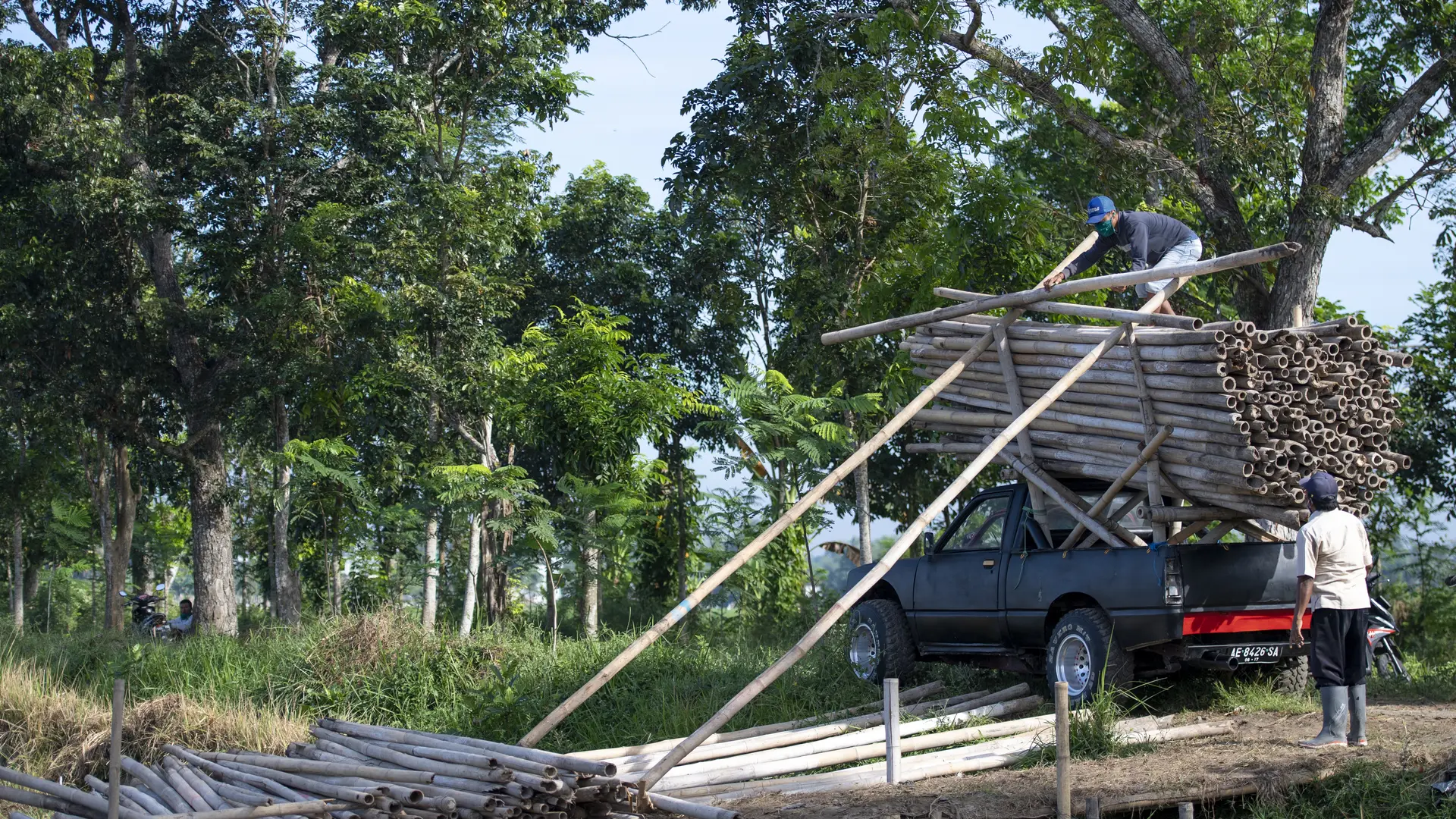 Jember Harvest 2026 — Notes from the Field