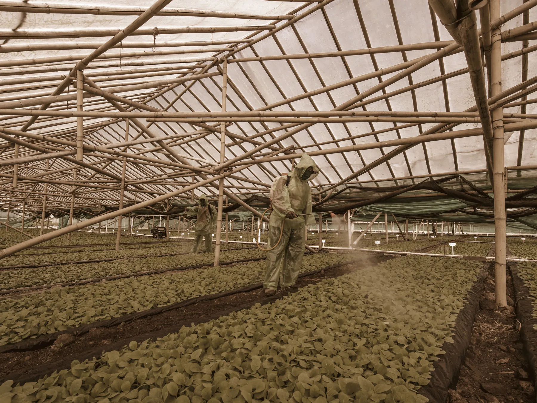Nursery