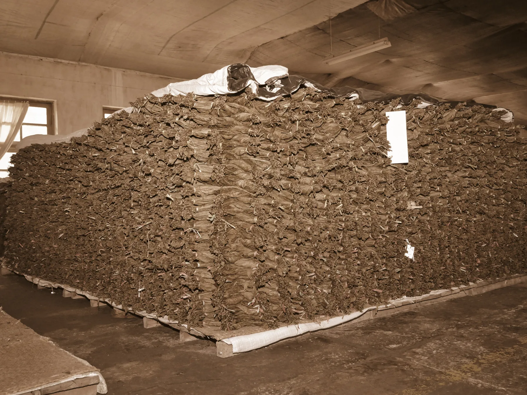 Fermentation