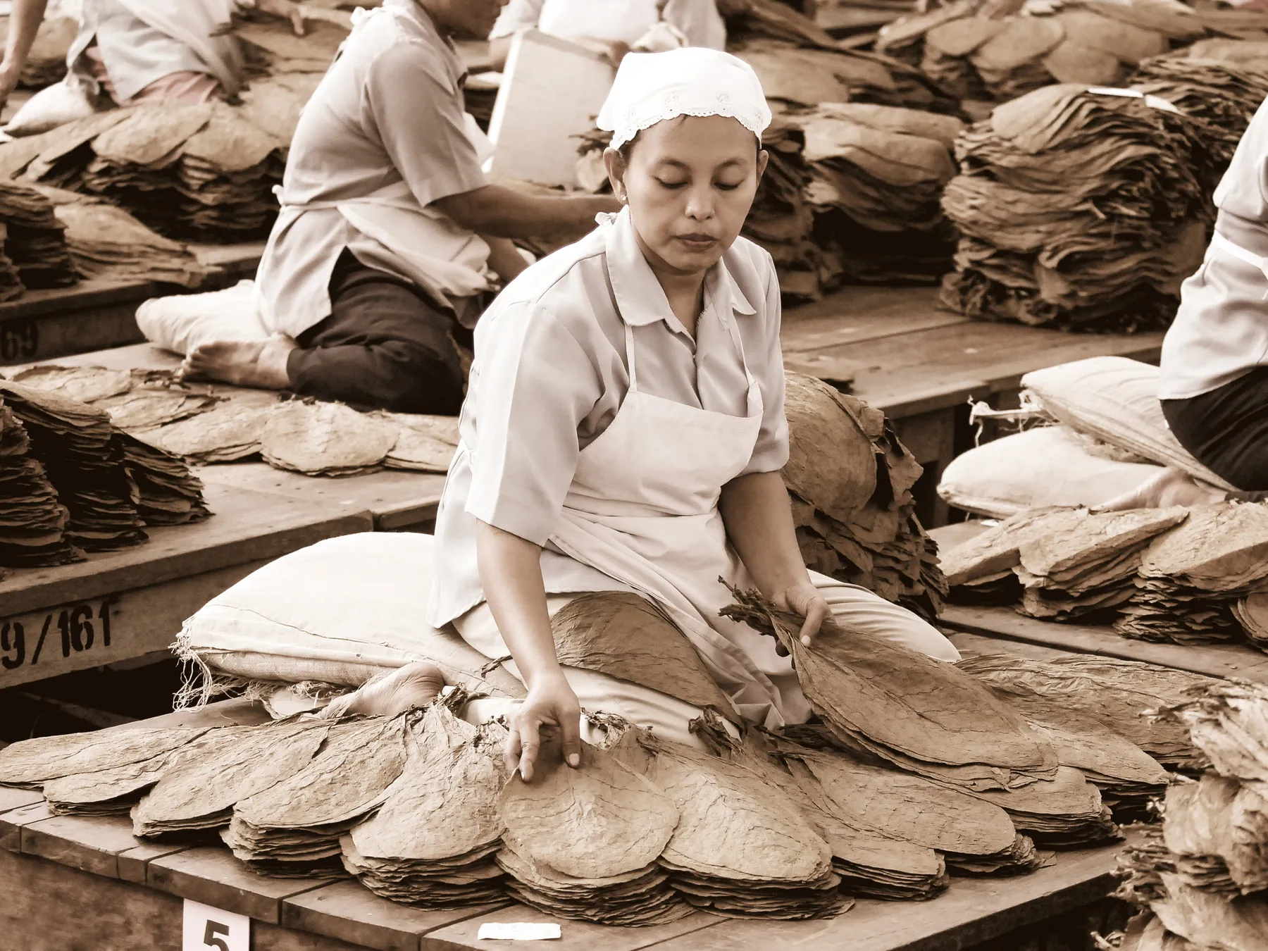 Sorting