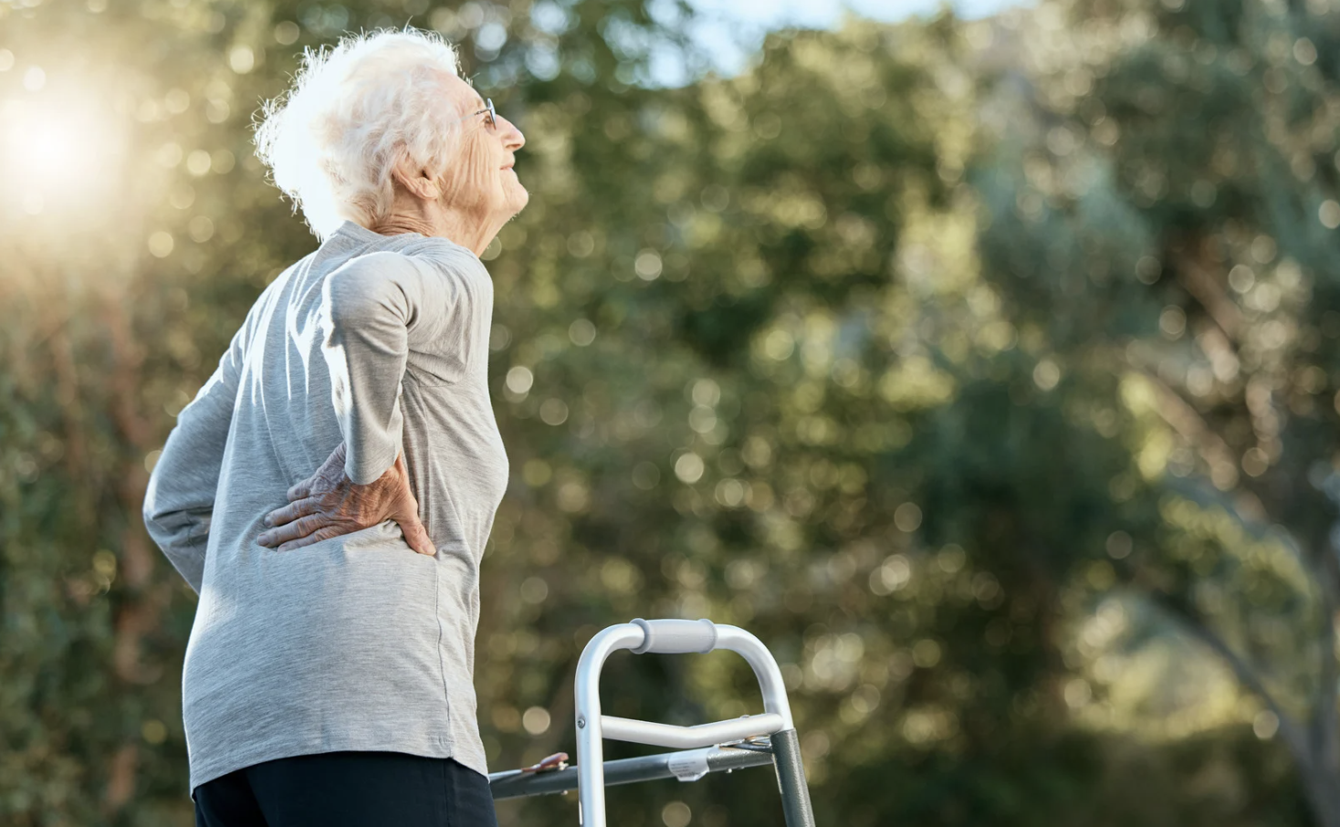 Ilustrasi: Osteoporosis : Panduan Gerak untuk Tulang yang Lebih Kuat