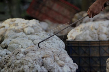 Ekspor Karet Indonesia