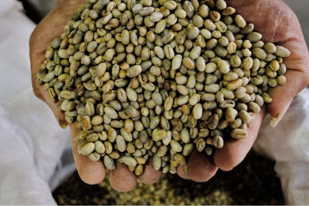 Ekspor Indonesia ke Belgia Melejit: Kopi hingga Jam Tangan Jadi Primadona