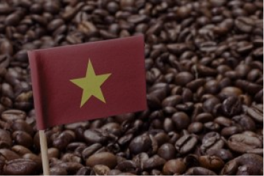 Ekspor Kopi Vietnam