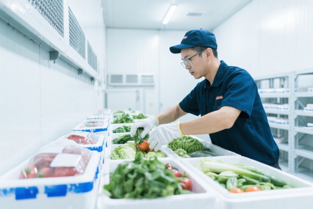 Mengatasi Tantangan Packing Sayuran untuk Ekspor: Solusi untuk UKM