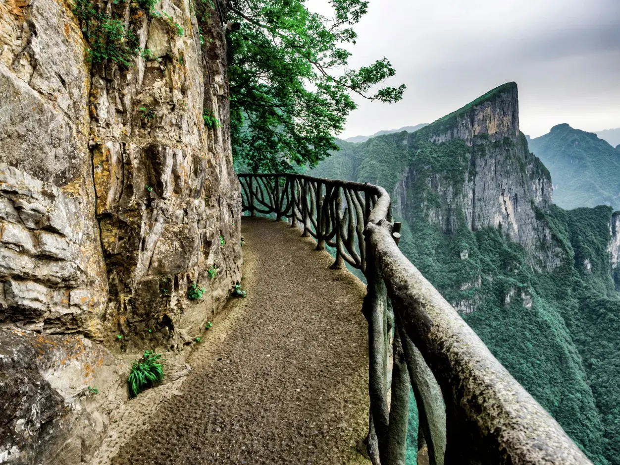 Roadmap Digitalisasi Agen Travel: Memaksimalkan Website untuk Ekspor Layanan Wisata