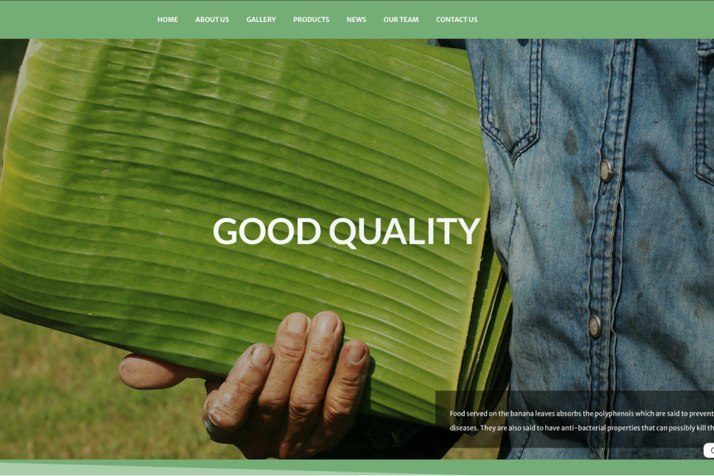 Jasa Pembuatan Website untuk Ekspor Daun Pisang: Tampil Profesional di Mata Buyer Global