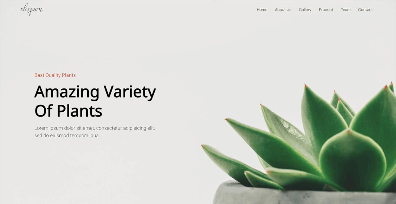 Best Quality Plants - Amazing Variety Of Plants
