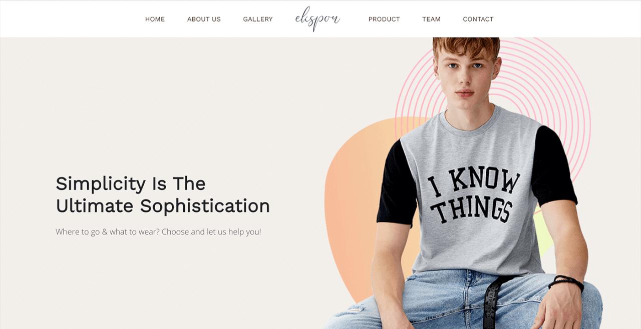 Fashion - Simplicity Is The Ultimate Shophistication
