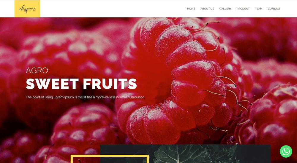 Agro - Sweet Fruits