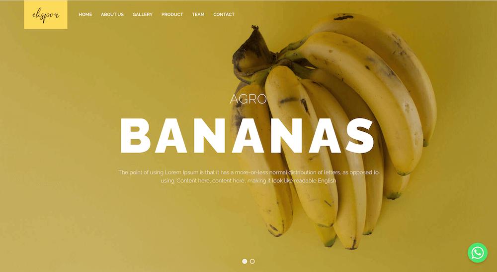 Agro - Bananas