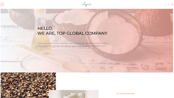 Coconut - Top Global Company and Shipping