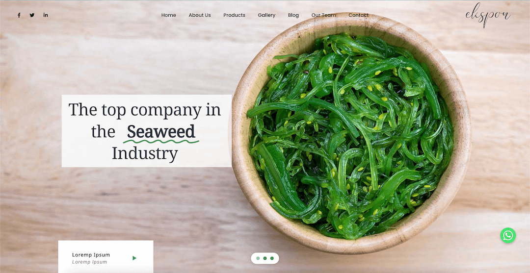 Seaweed - Top Company in Seaweed Industry