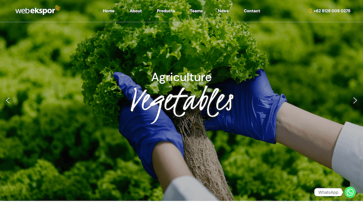 agriculture and eco farming 30 Years Experience agrikultur perkebunan petani sayuran sawah
