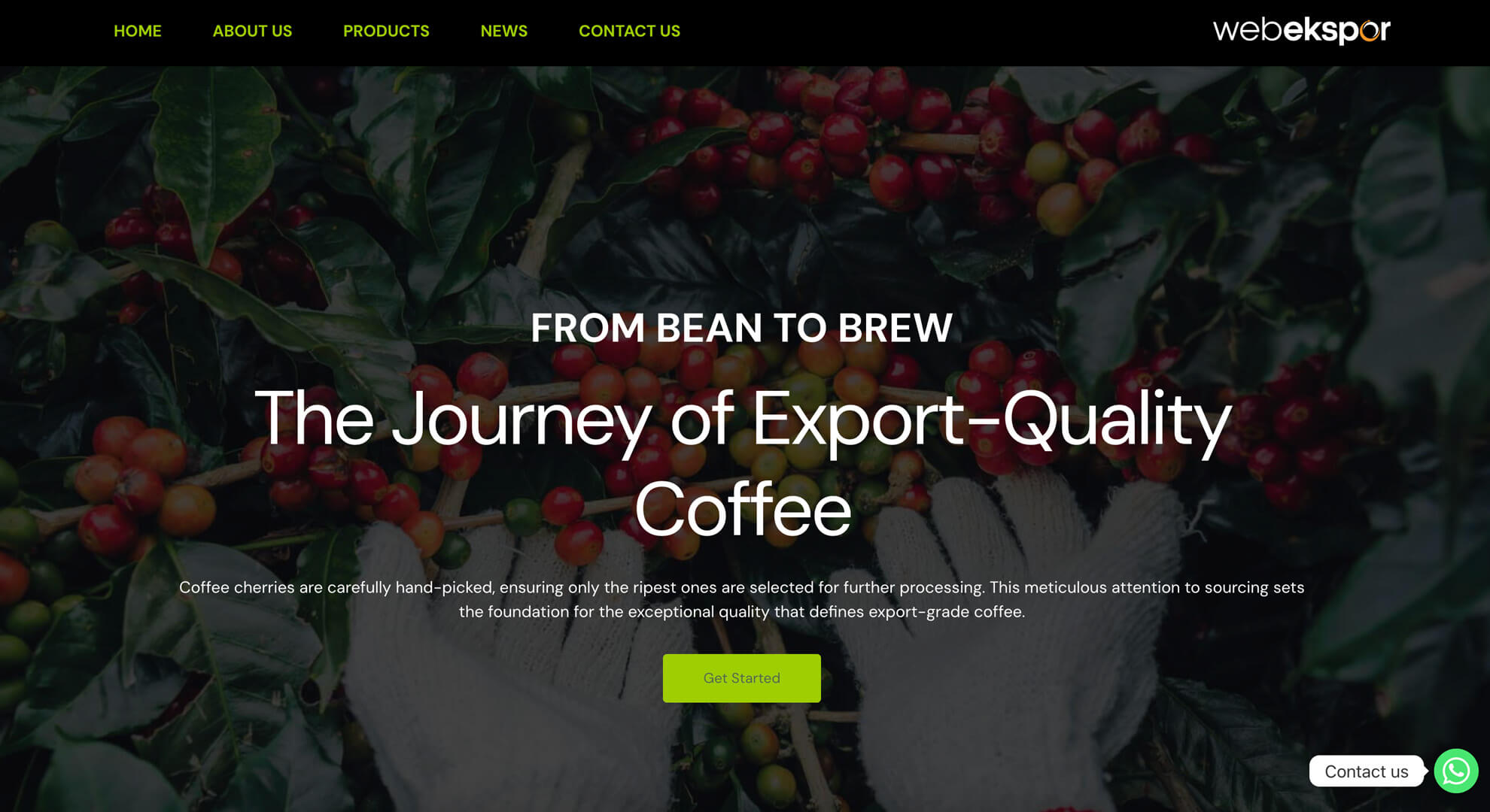 Coffee Innovation - The Foundation of Export-Quality Coffee kopi biji roasted