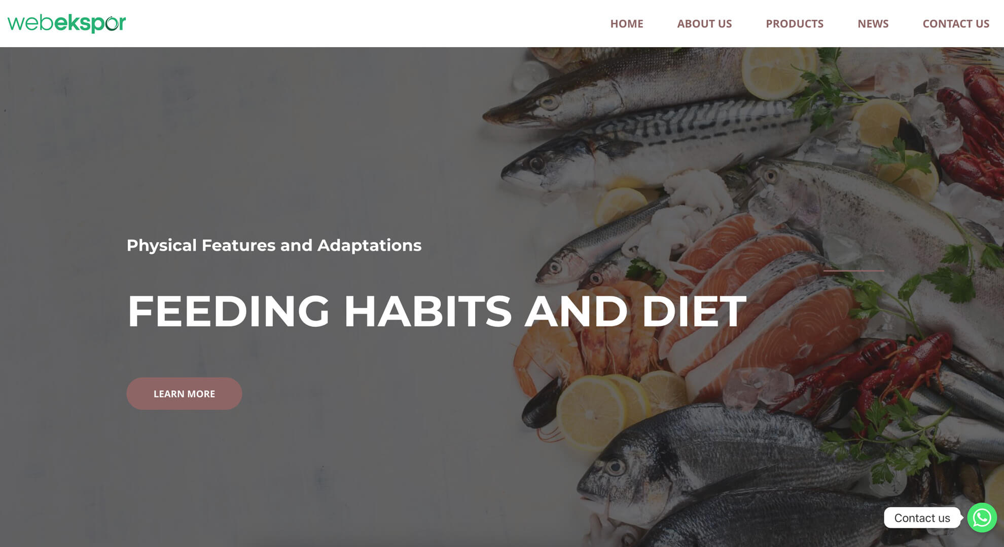 The Rich Diversity of Sea Fish - Exploring the Diverse World of Sea Fish ikan laut seafood