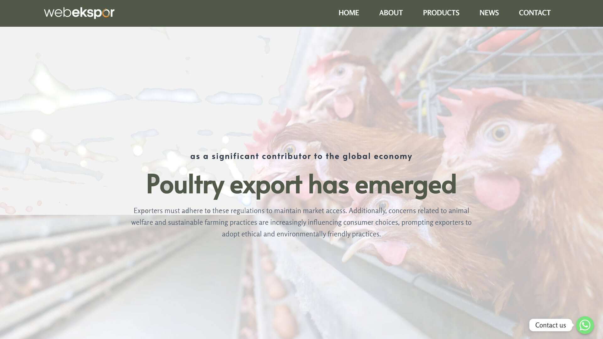 Indonesia Poultry Export - The Booming Business of Poultry Export ayam peternakan bebek ternak peternak farmers sapi kambing beef goat chicken duck