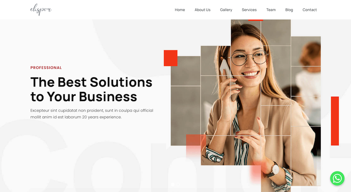 Professional - The Best Solutions to Your Business