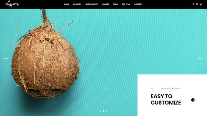 Coconut - Innovative Business