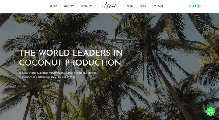 Coconut - The World Leader In Coconut Production