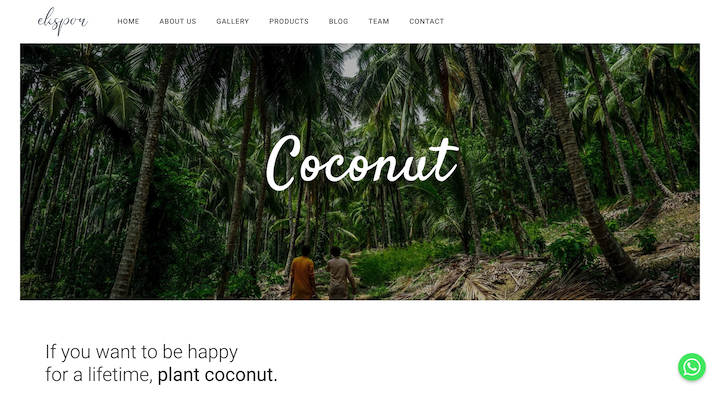 Coconut - Plant Coconut for Happiness