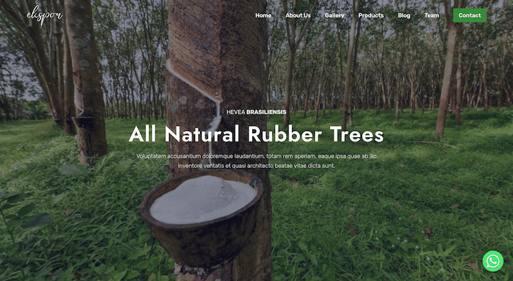 Rubber - All Natural Rubber Trees