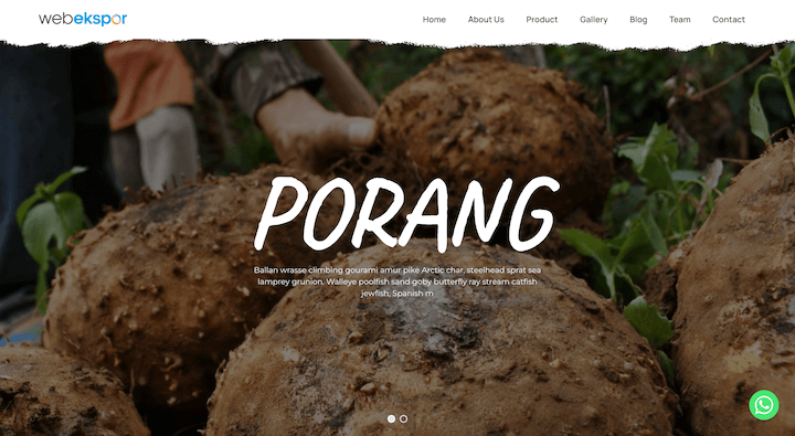 Porang - Special Delicacy From Indonesia