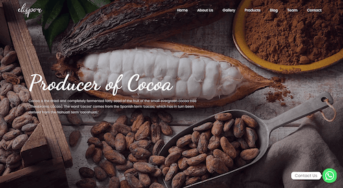 Cocoa - Producer of Cocoa