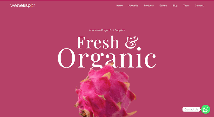 Dragon Fruits - Fresh and Organic
