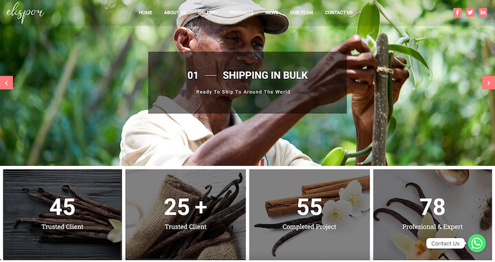 Vanilla - Premium Quality Vanilla Products