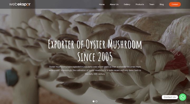Exporter of Oyster Mushroom