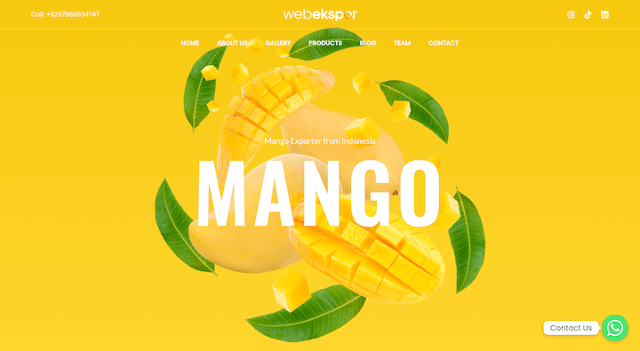 Mango Exporter from Indonesia