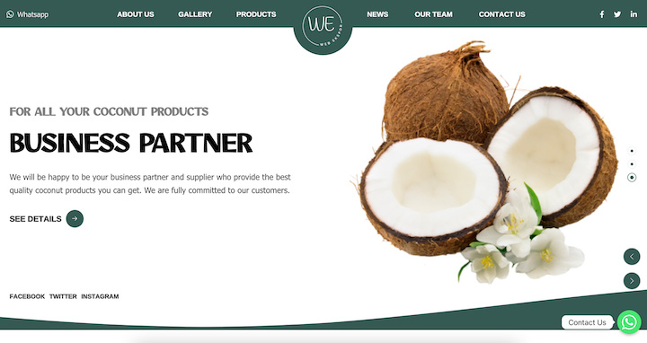 Desiccated Coconut - Pure Natural