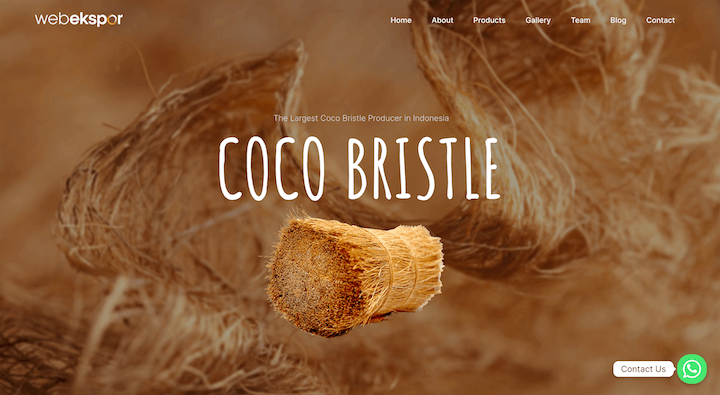 Coco Bristle - High Demand Best Quality